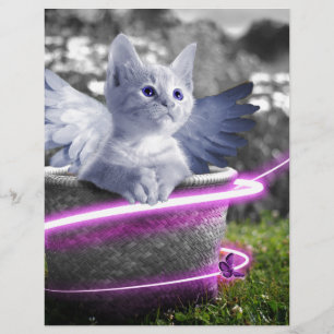 gato-do-anjo