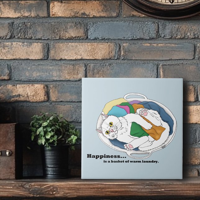 Gato do Dia da Lavagem (Criador carregado)