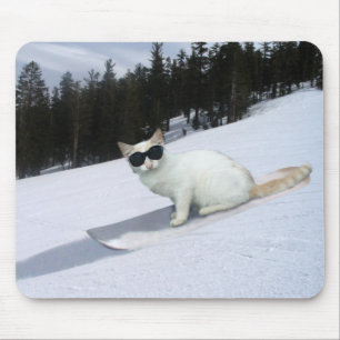 Gato do divertimento em um Snowboard Mousepad