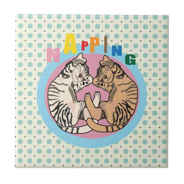 gato-do-mato (Frente)