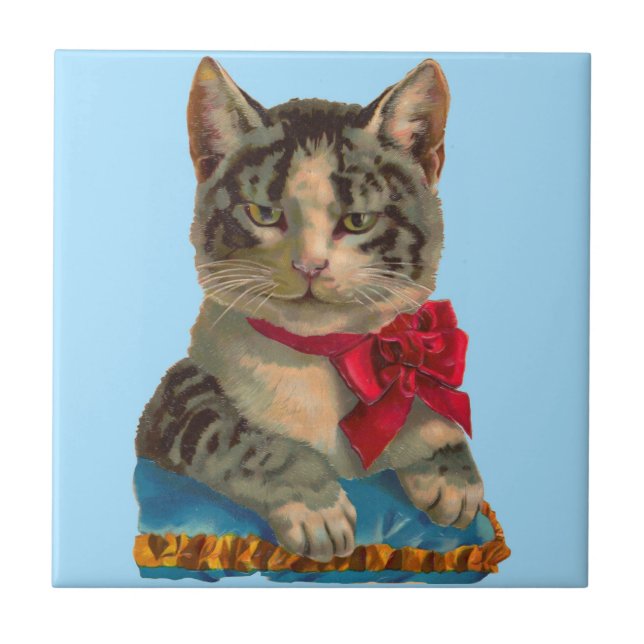 gato-do-mato-vitoriano (Frente)