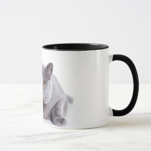 gato do whit da caneca