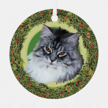 Gato do XMas Wreath Maine