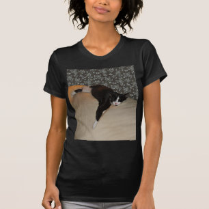 Gato dormindo no topo do sofá, mulher, camiseta e