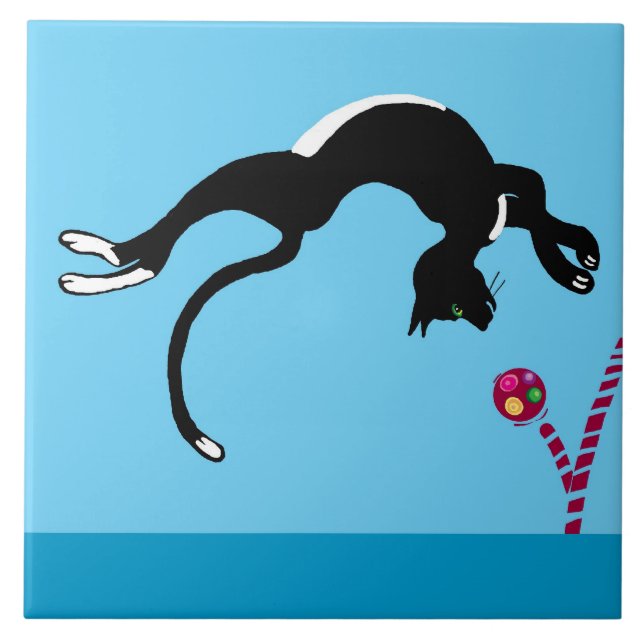 gato e bola (Frente)