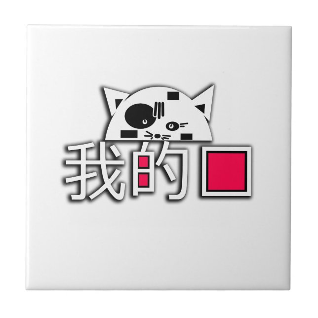 Gato é meu amor (Frente)