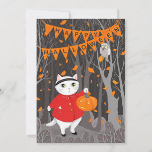     Gato e Pumpkin de Jack-o'-lanterno bonitos do 