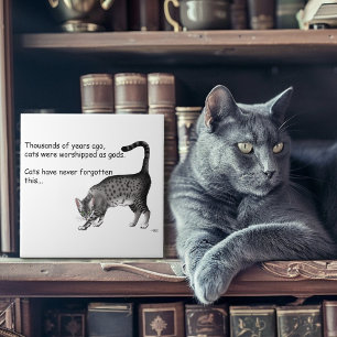 Gato Egípcio Mau Cinza Caprichoso Humorístico