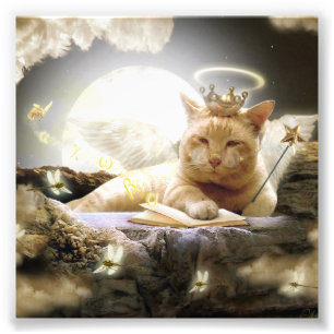 Gato em cópias da foto do céu