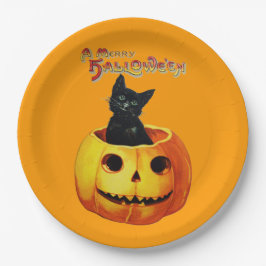 Gato em Pratos de Halloween de Pumpkin