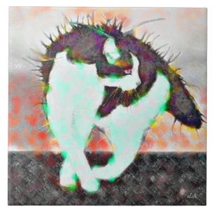 Gato em um telhado quente da lata