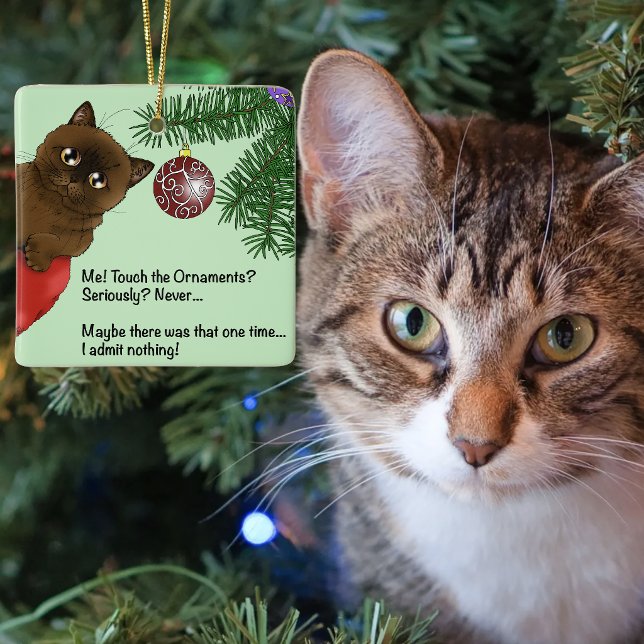 Gato Enfeite de Natal Marrom (Criador carregado)