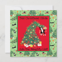 Gato Engraçado Arrepende Nada Personalizar Cartão 