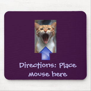 Gato engraçado e Mousepad