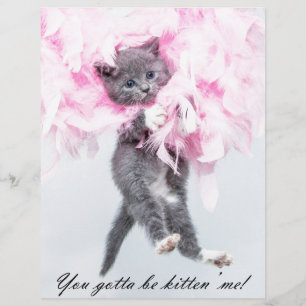 Gato Engraçado Humorístico