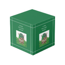 Gato Engraçado na Rua. Dia de Patrick