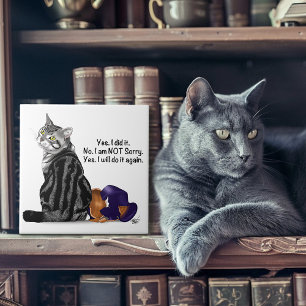 Gato Engraçado Teimoso Sem Remorso Tabby