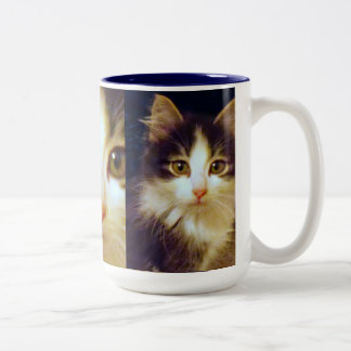 Gato equipado com pernas de Anakin dois, caneca