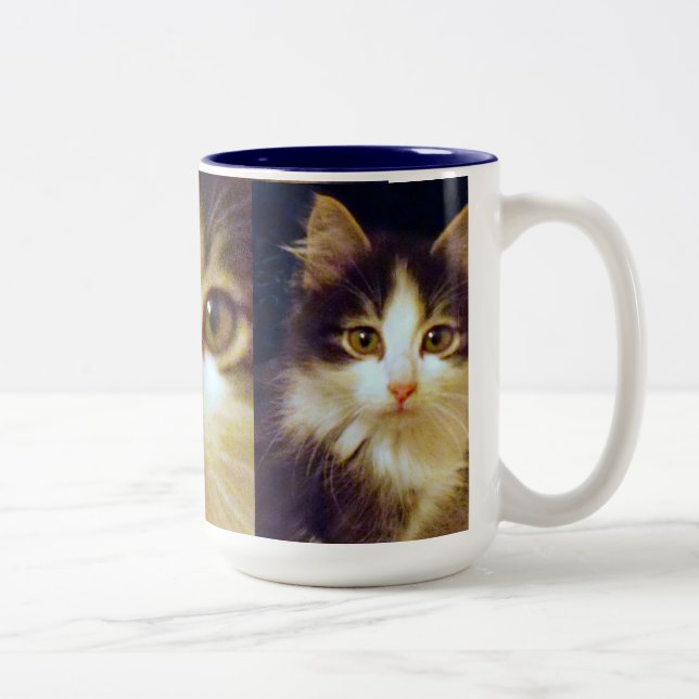 Gato equipado com pernas de Anakin dois, caneca (Direita)
