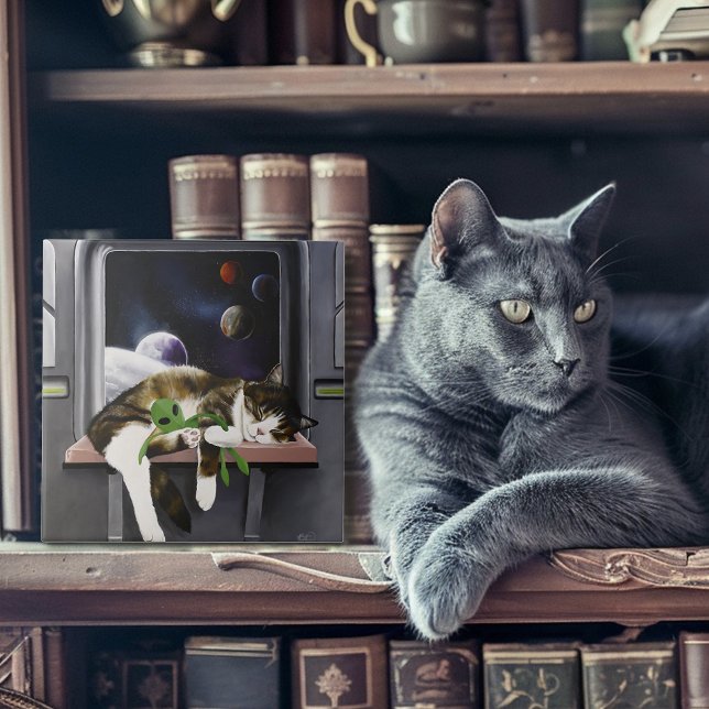 Gato Espacial Ficha Científica Fi (Criador carregado)