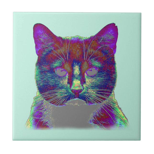 Gato Estranho (Frente)