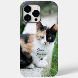 Gato Fantasma da Ópera