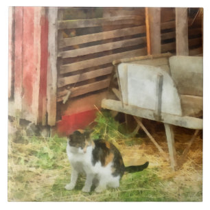 Gato Fazenda