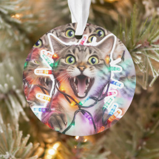 Gato Festivo com Ornamento das Luzes de Natal