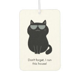 Gato Fofo - Agora eu mando nesta casa!