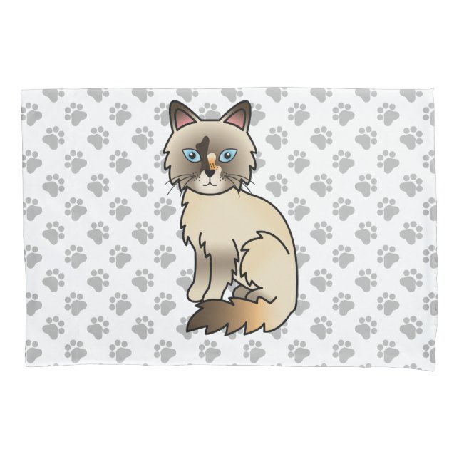 Gato Fofo de Casca de Tartaruga Birman / Ragdoll & (Frente)