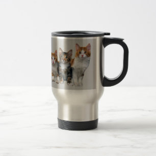 Gato fora da caneca da caixa