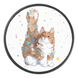 Gato Gato Gato Gato De Animais De Companhia