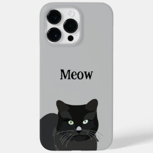 Gato Gato Preto