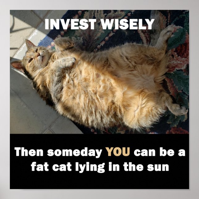 Gato Gordo Invest Wisely Memed Poster (Frente)