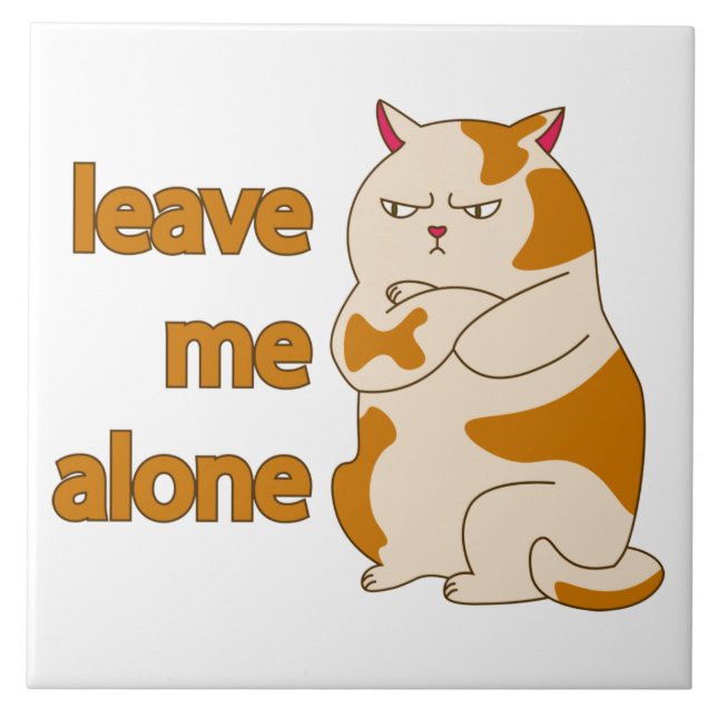 Gato gordo me deixa em paz (Frente)