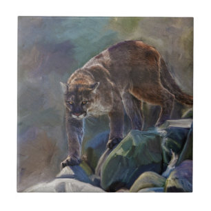 Gato grande de leão de montanha do puma que pinta