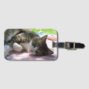 Gato Grande na Etiqueta de Bagagem de Mesa
