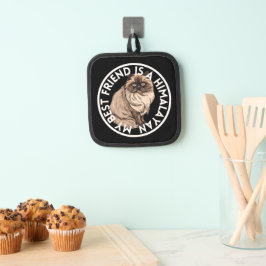 Gato Himalaia Melhor Amigo