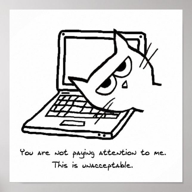 Gato Irritado Exige Atenção - Poster de Gato Engra (Frente)