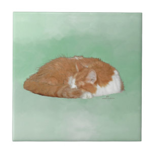 Gato Laranja Dorminhoco