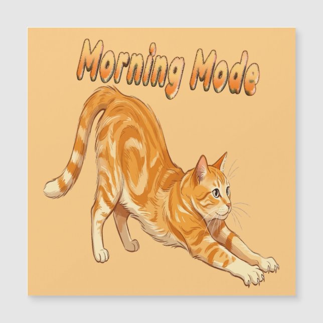 Gato Laranja Listrado Esticando Modo Matinal Gato  (Frente)