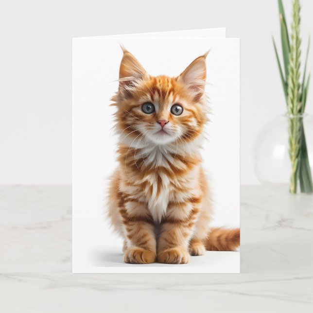 Gato Laranja Tabby de Pelo Comprido e Fofo Cartão  (Frente)