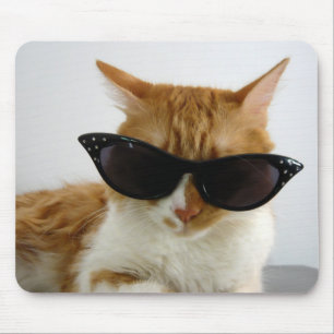 Gato legal com óculos de sol Mousepad