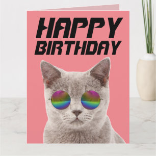 GATO LEGAL DE ANIVERSÁRIO COM GRANDES CARTÕES DE