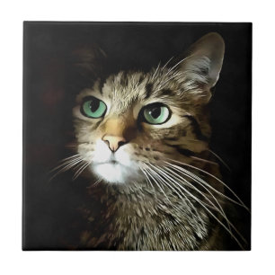 Gato Listrado Com Olhos Verdes Isolado Em Preto