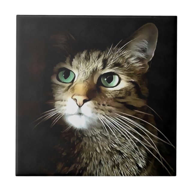 Gato Listrado Com Olhos Verdes Isolado Em Preto (Frente)