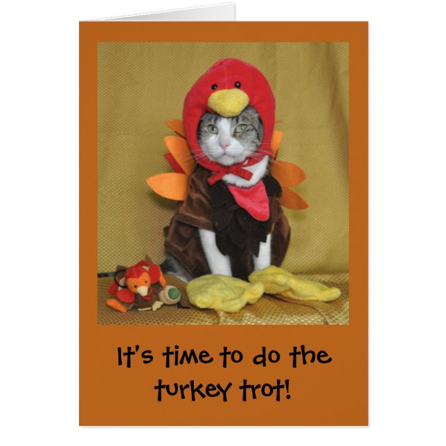 Gato malhado e cartão branco da acção de graças do (Frente)