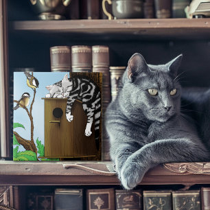 Gato Malhado Fofo Dormindo em Casa de Pássaros Eng