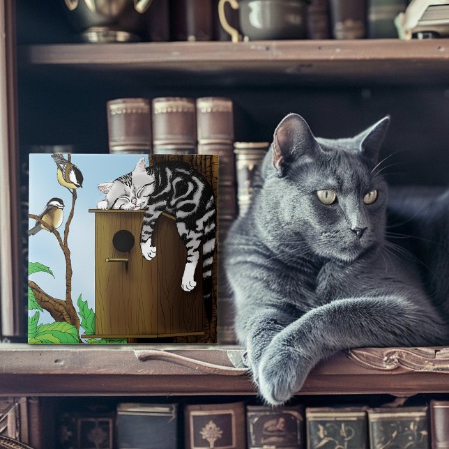 Gato Malhado Fofo Dormindo em Casa de Pássaros Eng (Criador carregado)