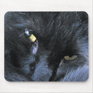 Gato mau Mousepad